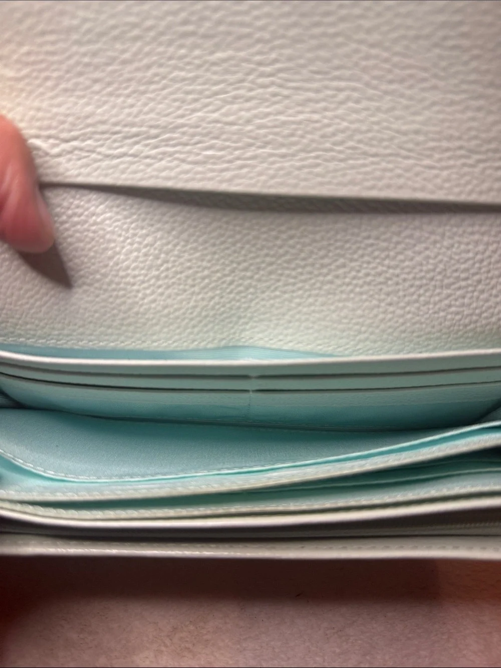 Samantha Thavasa Mint Green Petit Choice Pebbled Leather Wallet with Gold Trim